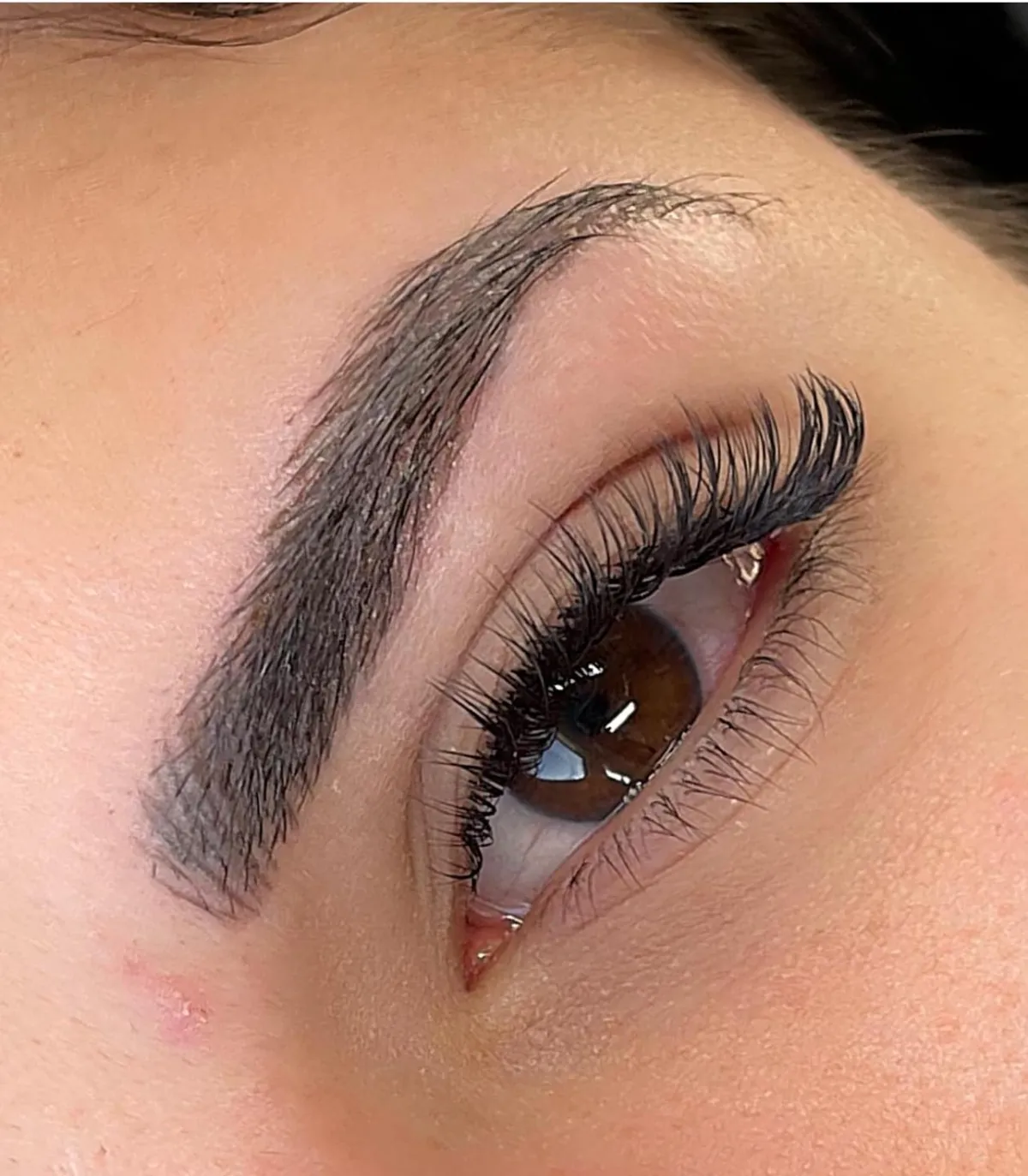 Cosmetic eyebrow tattoo Paddington Brisbane